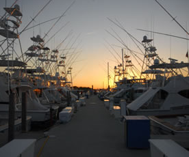 Riviera Beach Marina Inlays & Onlays